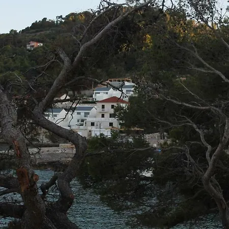Marina Maslinica